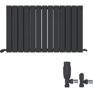 iBathUK Belgravia Horizontal Double Slim Flat Panel Radiator Angled Valve Grey 600cm H x 988cm W x 69cm D iBathUK Belgravia Horizontal Double Slim Flat Panel Radiator Angled Valve Grey 600cm H x 988cm W x 69cm D