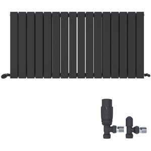 iBathUK Belgravia Horizontal Double Slim Flat Panel Radiator Angled Valve Grey 600cm H x 1216cm W x 69cm D iBathUK Belgravia Horizontal Double Slim Flat Panel Radiator Angled Valve Grey 600cm H x 1216cm W x 69cm D