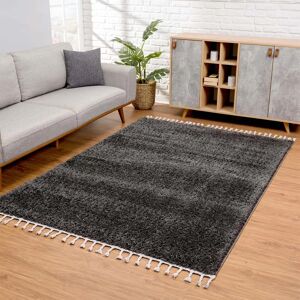 Mistana Ramillies Solid Colour Machine Woven Area Rug gray 160.0 W x 3.0 D cm