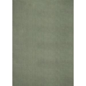 Latitude Run Hiroto Rug in Dark Green white 220.0 H x 160.0 W x 1.6 D cm