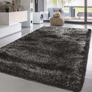 Fairmont Park Solid Colour Shaggy Dark Grey Indoor / Outdoor Area Rug white 220.0 H x 60.0 W x 5.0 D cm