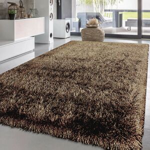 Fairmont Park Goner Solid Colour Shaggy Coffee Indoor / Outdoor Area Rug Coffee Rectangle 160 x 230cm