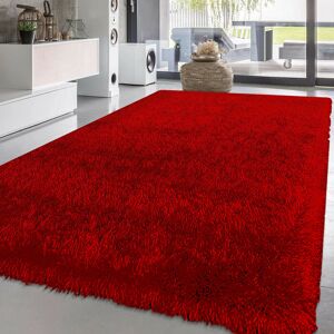 Fairmont Park Solid Colour Red Indoor / Outdoor Area Rug Red Rectangle 80 x 150cm