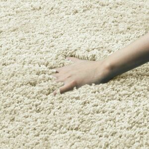 Ebern Designs Soft Shaggy Verona Rug Living Room Bedroom Carpet Hallway Runner Non Shed Pile Cream Rectangle 80 x 150cm