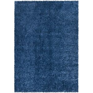 Symple Stuff New Modern Luxury Shaggy Fluffy Carpet Large Small Area Rugs Kitchen Mat Bedroom Living Room Carpet Floor Mat Door Mat Blue Rectangle 160 x 230cm Symple Stuff New Modern Luxury Shaggy Fluffy Carpet Large Small Area Rugs Kitchen Mat Bedroom Living Room Carpet Floor Mat Door Mat Blue Rectangle 160 x 230cm