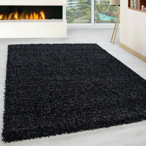 17 Stories Adavia Shaggy Anthracite Rug Anthracite Rectangle 200 x 290cm 17 Stories Adavia Shaggy Anthracite Rug Anthracite Rectangle 200 x 290cm