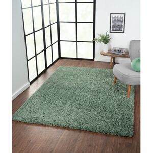 17 Stories Lush shaggy carpet in green Green Rectangular 160 x 230cm 17 Stories Lush shaggy carpet in green Green Rectangular 160 x 230cm