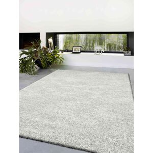 Ebern Designs Impossible Power Loom Grey Rug Grey Rectangle 240 x 340cm Ebern Designs Impossible Power Loom Grey Rug Grey Rectangle 240 x 340cm