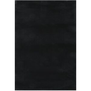 17 Stories Joe-Alexander Washable Rug Soft Fluffy Short Pile Anti Slip Black Black Rectangle 160 x 230cm 17 Stories Joe-Alexander Washable Rug Soft Fluffy Short Pile Anti Slip Black Black Rectangle 160 x 230cm