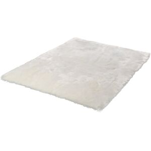 Fairmont Park Byrone Uni Hand-tufted Hand Tufted Area Rug Ivory Rectangular 160 x 230cm Fairmont Park Byrone Uni Hand-tufted Hand Tufted Area Rug Ivory Rectangular 160 x 230cm