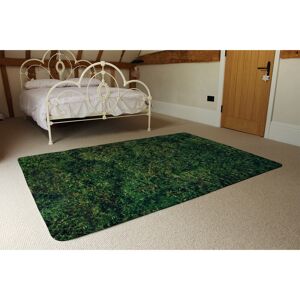 East Urban Home Jainee Natural Moss Shaggy Green Rug Rectangle 160 x 230cm East Urban Home Jainee Natural Moss Shaggy Green Rug Rectangle 160 x 230cm