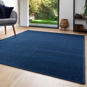 Latitude Run Solid Colour Blue Area Rug Rectangular 200 x 300cm Latitude Run Solid Colour Blue Area Rug Rectangular 200 x 300cm