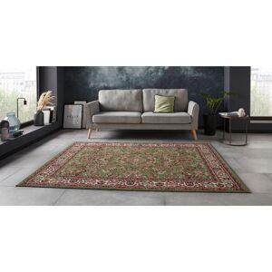 Astoria Grand Zabul Tufted Green/Red/Cream Rug Rectangle 160 x 220cm Astoria Grand Zabul Tufted Green/Red/Cream Rug Rectangle 160 x 220cm