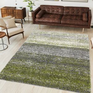 Latitude Run Berengarius Green/White Rug Green/White Rectangle 120 x 170cm Latitude Run Berengarius Green/White Rug Green/White Rectangle 120 x 170cm