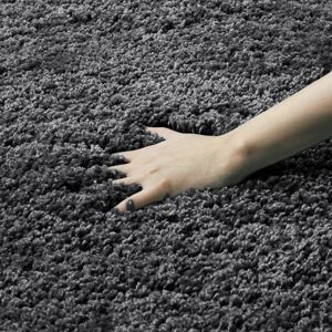 Ebern Designs Faruq Solid Colour Shaggy Darkgrey Area Rug Dark Grey Rectangle 80 x 150cm Ebern Designs Faruq Solid Colour Shaggy Darkgrey Area Rug Dark Grey Rectangle 80 x 150cm