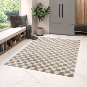 Ebern Designs Machine Woven Rug, Chequered, Grey Grey Rectangle 200 x 290cm Ebern Designs Machine Woven Rug, Chequered, Grey Grey Rectangle 200 x 290cm