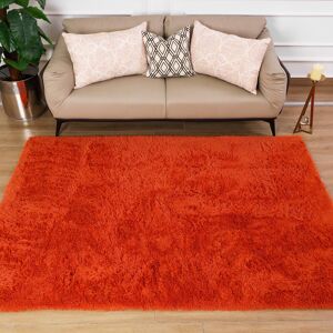 Fairmont Park Solid Colour Shag Area Rug RUST Rectangle 160 x 230 cm Fairmont Park Solid Colour Shag Area Rug RUST Rectangle 160 x 230 cm