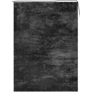Brayden Studio Extra Large Thick Shaggy Rug Soft Living Room Bedroom Carpet Hallway Rugs Anthracite Rectangle 120 x 170 cm Brayden Studio Extra Large Thick Shaggy Rug Soft Living Room Bedroom Carpet Hallway Rugs Anthracite Rectangle 120 x 170 cm