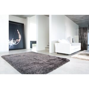 Brambly Cottage Calfee Shaggy Grey Rug Grey Rectangle 160 x 230 cm Brambly Cottage Calfee Shaggy Grey Rug Grey Rectangle 160 x 230 cm