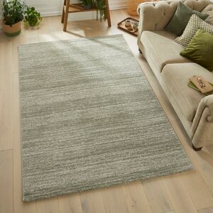 Brayden Studio Solid Colour Area Rug Sage Rectangle 200 x 290 cm Brayden Studio Solid Colour Area Rug Sage Rectangle 200 x 290 cm