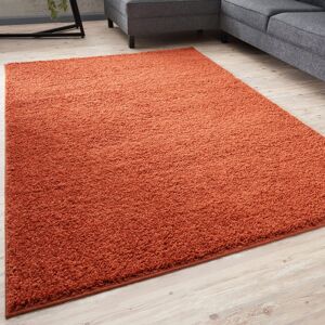 THE RUGS Myshaggy Collection Rugs Solid Design in Terra Terra Rectangle 200 x 290cm THE RUGS Myshaggy Collection Rugs Solid Design in Terra Terra Rectangle 200 x 290cm