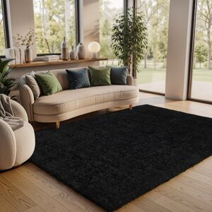 Latitude Run Amneris Alucard Black Area Rug Black Rectangle 140 x 200cm Latitude Run Amneris Alucard Black Area Rug Black Rectangle 140 x 200cm