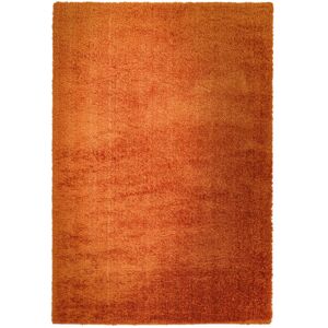 Ebern Designs Natonia Shiny Shaggy Orange Area Rug Orange Rectangle 80 x 150cm Ebern Designs Natonia Shiny Shaggy Orange Area Rug Orange Rectangle 80 x 150cm