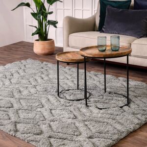 Gracie Oaks Peck Shaggy Silver Rug Silver Rectangle 200cmx 290cm Gracie Oaks Peck Shaggy Silver Rug Silver Rectangle 200cmx 290cm