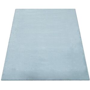 Canora Grey Todmorden Shaggy Turquoise Rug Rectangle 120 x 160cm Canora Grey Todmorden Shaggy Turquoise Rug Rectangle 120 x 160cm