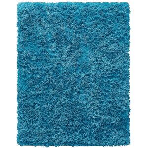 Fairmont Park Lemelin Supersoft Shaggy High Pile Rug Teal Rectangle 120 x 170cm Fairmont Park Lemelin Supersoft Shaggy High Pile Rug Teal Rectangle 120 x 170cm