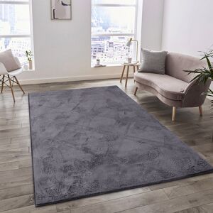 Fairmont Park Solid Colour Faux Fur Hand Knotted Shag Indoor / Outdoor Area Rug Grey Rectangle 120 x 170 cm Fairmont Park Solid Colour Faux Fur Hand Knotted Shag Indoor / Outdoor Area Rug Grey Rectangle 120 x 170 cm