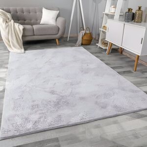 Fairmont Park Luxury Silver Shag Area Rug: Ultra-Plush Faux Fur for Modern Home Decor Silver Rectangle 120 x 170 cm Fairmont Park Luxury Silver Shag Area Rug: Ultra-Plush Faux Fur for Modern Home Decor Silver Rectangle 120 x 170 cm