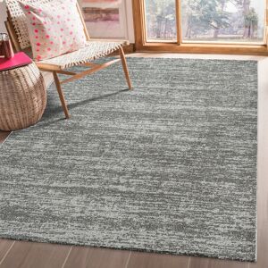 Borough Wharf Alixzandria Solid Colour Machine Woven Grey Area Rug Grey Rectangle 160 x 230cm Borough Wharf Alixzandria Solid Colour Machine Woven Grey Area Rug Grey Rectangle 160 x 230cm