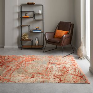Rio Alphe Orange Area Rug Orange Rectangle 240 x 340cm Rio Alphe Orange Area Rug Orange Rectangle 240 x 340cm