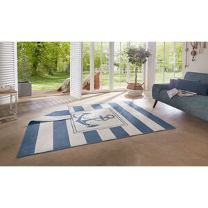 Northrugs Gandara Flatweave Blue Rug Rectangle 160 x 230cm Northrugs Gandara Flatweave Blue Rug Rectangle 160 x 230cm