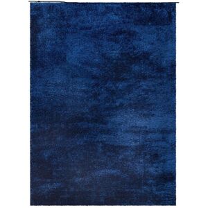 Brayden Studio Extra Large Thick Shaggy Rug Soft Living Room Bedroom Carpet Hallway Rugs Blue Rectangle 80 x 150 cm Brayden Studio Extra Large Thick Shaggy Rug Soft Living Room Bedroom Carpet Hallway Rugs Blue Rectangle 80 x 150 cm