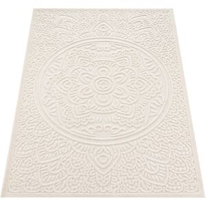 Latitude Vive Bastin Solid Colour Beige/Cream Indoor / Outdoor Area Rug Beige/Cream Rectangle 120 x 170cm Latitude Vive Bastin Solid Colour Beige/Cream Indoor / Outdoor Area Rug Beige/Cream Rectangle 120 x 170cm
