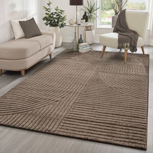 17 Stories Tandra - modern short pile carpet living room bedroom with high-low effect, 3D effect, high pile density and pleasantly soft, (Brown) Brown Rectangle 160 x 230 cm 17 Stories Tandra - modern short pile carpet living room bedroom with high-low effect, 3D effect, high pile density and pleasantly soft, (Brown) Brown Rectangle 160 x 230 cm