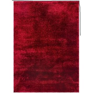 Brayden Studio Extra Large Thick Shaggy Rug Soft Living Room Bedroom Carpet Hallway Rugs Red Rectangle 120 x 170 cm Brayden Studio Extra Large Thick Shaggy Rug Soft Living Room Bedroom Carpet Hallway Rugs Red Rectangle 120 x 170 cm