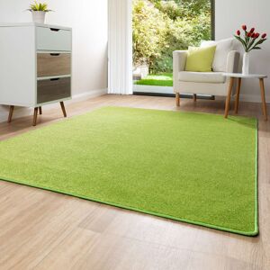 Latitude Run Solid Colour Green Area Rug Rectangular 200 x 250cm Latitude Run Solid Colour Green Area Rug Rectangular 200 x 250cm