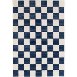 Latitude Run Aurelio Chequered Machine Woven Relief Indoor Outdoor Navy Area Rug Navy Rectangle 123 x 170cm Latitude Run Aurelio Chequered Machine Woven Relief Indoor Outdoor Navy Area Rug Navy Rectangle 123 x 170cm