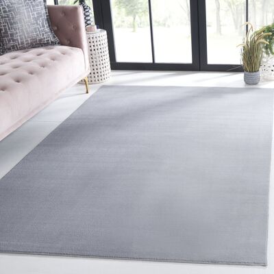 Latitude Run Antoniya Solid Colour Power Loom Grey Area Rug Gray Rectangle 122 x 183cm Latitude Run Antoniya Solid Colour Power Loom Grey Area Rug Gray Rectangle 122 x 183cm