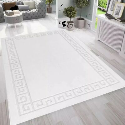 Fairmont Park Large Living Room Rugs Non Slip Area Rug Hallway Runner Rug Kitchen Floor Mats* White Rectangle 120 x 150 cm Fairmont Park Large Living Room Rugs Non Slip Area Rug Hallway Runner Rug Kitchen Floor Mats* White Rectangle 120 x 150 cm
