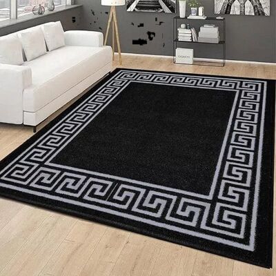 Fairmont Park Large Living Room Rugs Non Slip Area Rug Hallway Rug Kitchen Floor Mats* Black;Grey Rectangle 160 x 230 cm Fairmont Park Large Living Room Rugs Non Slip Area Rug Hallway Rug Kitchen Floor Mats* Black;Grey Rectangle 160 x 230 cm