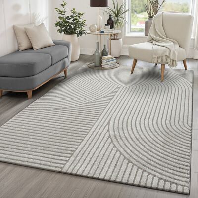 17 Stories Tandra - modern short pile carpet living room bedroom with high-low effect, 3D effect, high pile density and pleasantly soft, (Grey) Grey Rectangle 200 x 290 cm 17 Stories Tandra - modern short pile carpet living room bedroom with high-low effect, 3D effect, high pile density and pleasantly soft, (Grey) Grey Rectangle 200 x 290 cm