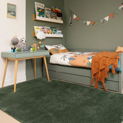 17 Stories Machine Washable Shaggy Rug Green Soft Fluffy Bedroom Carpet Mat Green 120cm x 170cm 17 Stories Machine Washable Shaggy Rug Green Soft Fluffy Bedroom Carpet Mat Green 120cm x 170cm