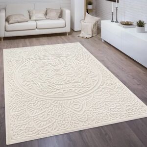 Latitude Vive Bastin Solid Colour Beige/Cream Indoor / Outdoor Area Rug white 250.0 H x 80.0 W x 0.6 D cm