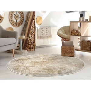 Borough Wharf Van Bestseller Power Loom Beige/Gold Rug yellow 240.0 W x 0.8 D cm