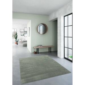 Marlow Home Co. Reynaldo Machine Washable Shaggy Green Rug green 120.0 W x 3.0 D cm