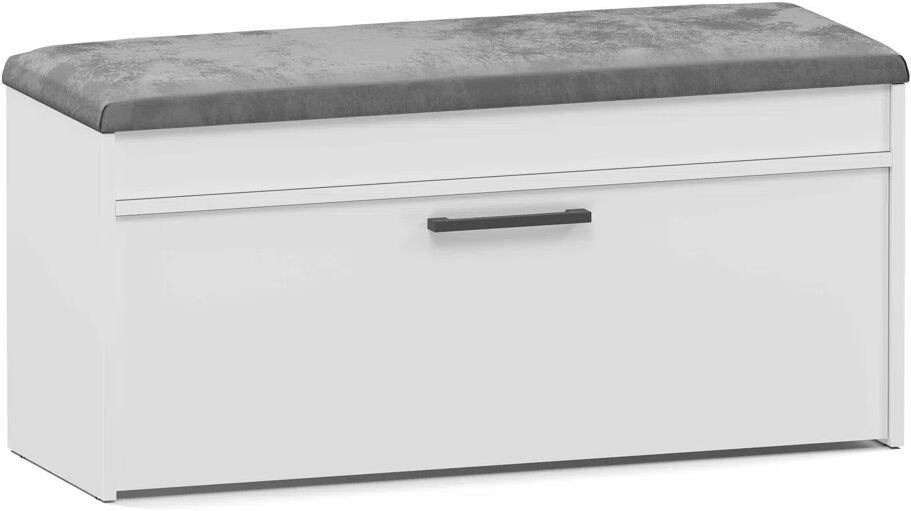 Wade Logan Modern Shoe Storage Cabinet white 49.0 H x 100.0 W x 35.0 D cm